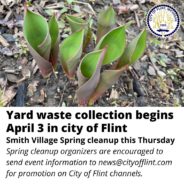 Yard waste collection begins in Flint April 3