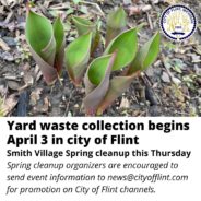 Yard waste collection begins in Flint April 3