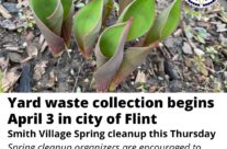 Yard waste collection begins in Flint April 3