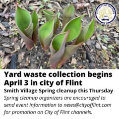 Yard waste collection begins in Flint April 3