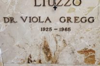 Remembering Viola Liuzzo, murdered 58 years ago in the cause of voting rights:  a personal reflection 