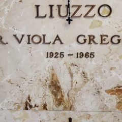 Remembering Viola Liuzzo, murdered 58 years ago in the cause of voting rights:  a personal reflection 
