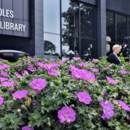 It’s the Gloria Coles Flint Public Library now:  local leaders praise Coles’ legacy of “inclusivity”  and “a bold, dynamic vision” at naming ceremony