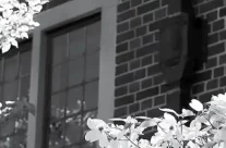 The East Village Magazine – June 2023