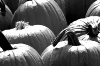 The East Village Magazine – November 2024