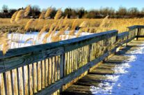 Parks & Rec in Flint and Beyond: Kelly Lake Park