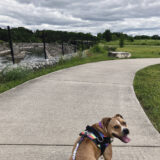 Parks & Rec in Flint and Beyond: Chevy Commons