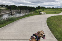 Parks & Rec in Flint and Beyond: Chevy Commons