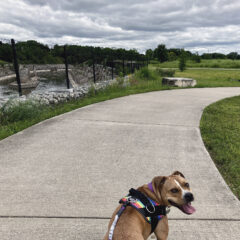 Parks & Rec in Flint and Beyond: Chevy Commons