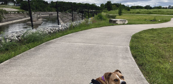 Parks & Rec in Flint and Beyond: Chevy Commons