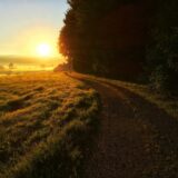Village Life: On becoming a ‘daywalker’