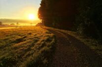 Village Life: On becoming a ‘daywalker’