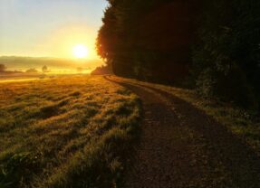 Village Life: On becoming a ‘daywalker’