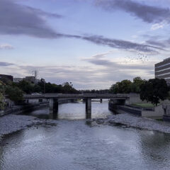 Parks & Rec in Flint and Beyond: Riverbank Park