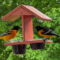 How to get happier: grape jelly and a couple of orioles