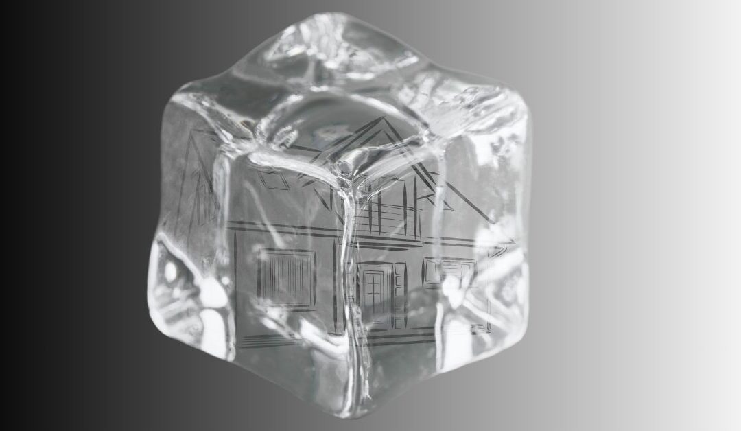 When ICE hits home: Nael Shamma’s story