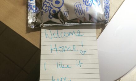 Village Life: Too many shoes and shades of pink