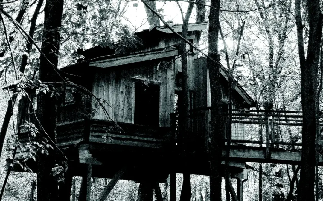 The East Village Magazine – November 2025