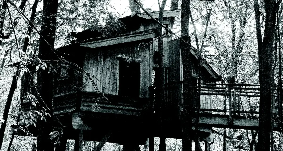 The East Village Magazine – November 2025