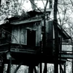 The East Village Magazine – November 2025