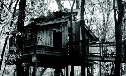 The East Village Magazine – November 2025