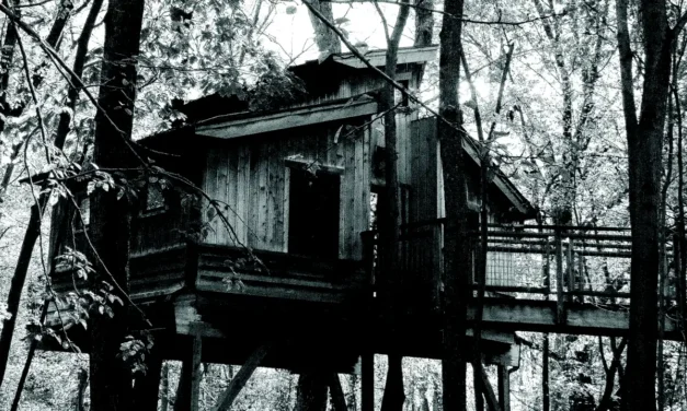 The East Village Magazine – November 2025