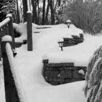 The East Village Magazine – February 2026