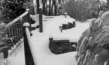 The East Village Magazine – February 2026