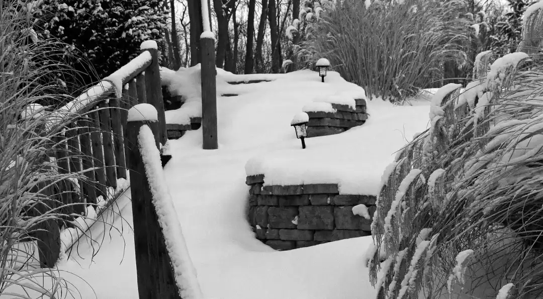 The East Village Magazine – February 2026