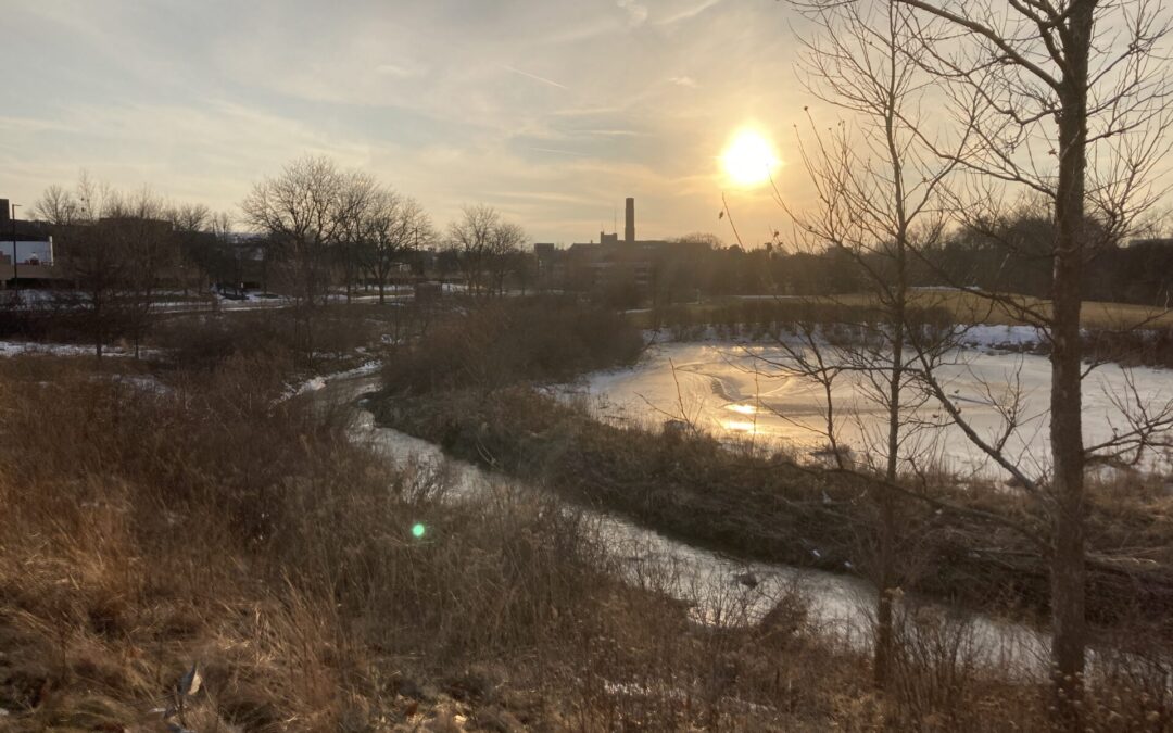 Personal Essay: Interview with a chatbot