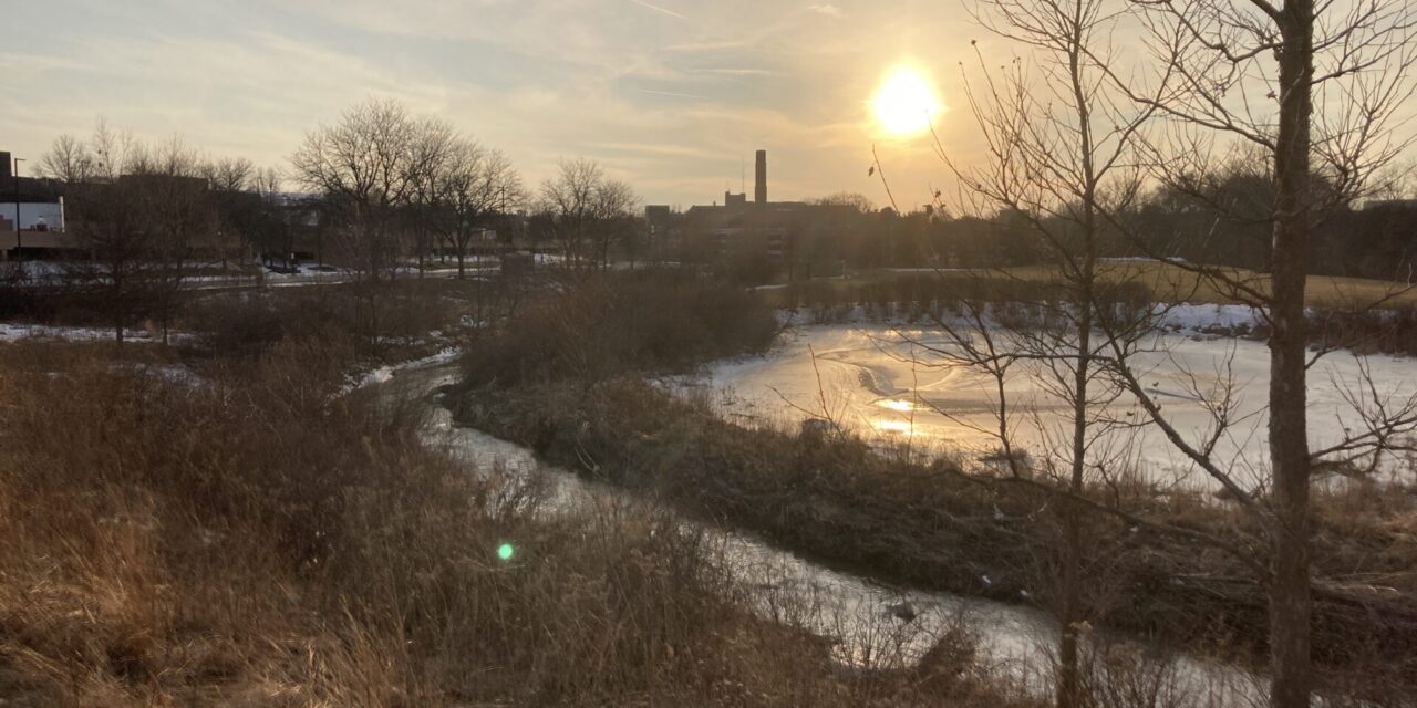 Personal Essay: Interview with a chatbot