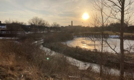 Personal Essay: Interview with a chatbot