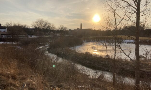 Personal Essay: Interview with a chatbot