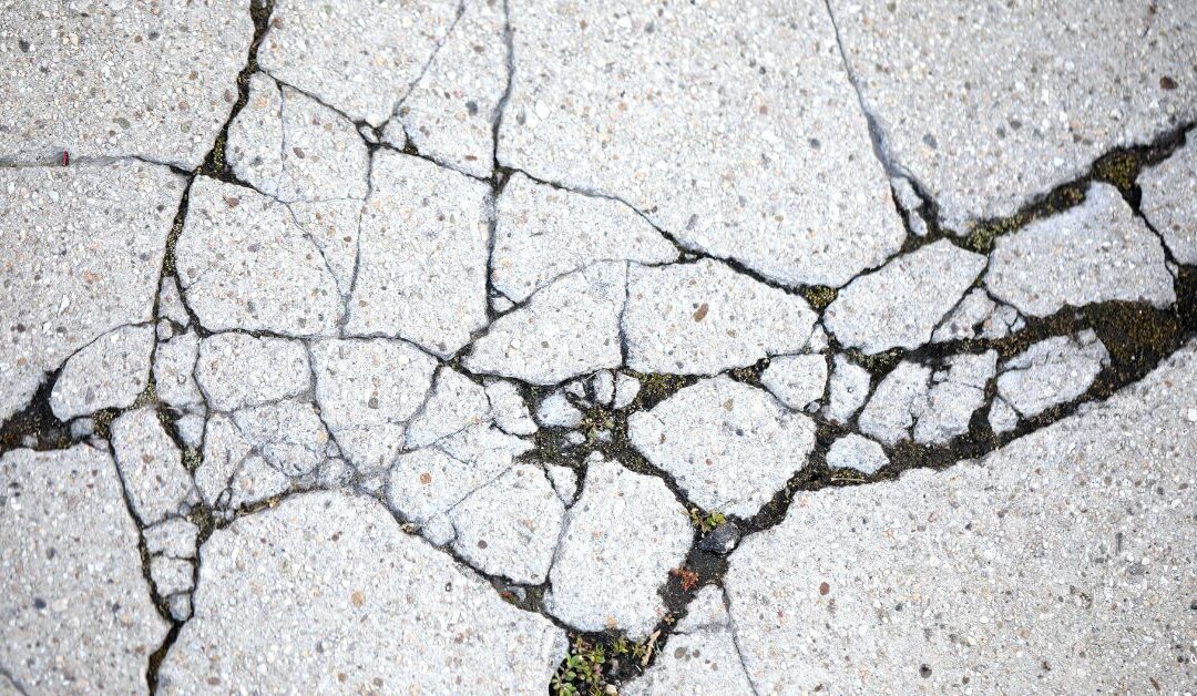 Councilwoman Mushatt calls for infrastructure projects in Flint’s Seventh Ward