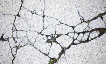 Councilwoman Mushatt calls for infrastructure projects in Flint’s Seventh Ward