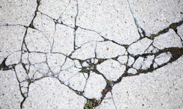 Councilwoman Mushatt calls for infrastructure projects in Flint’s Seventh Ward