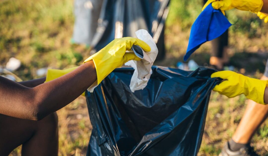 Lend a hand at Stewardship Day 2026