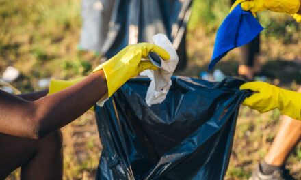 Lend a hand at Stewardship Day 2026