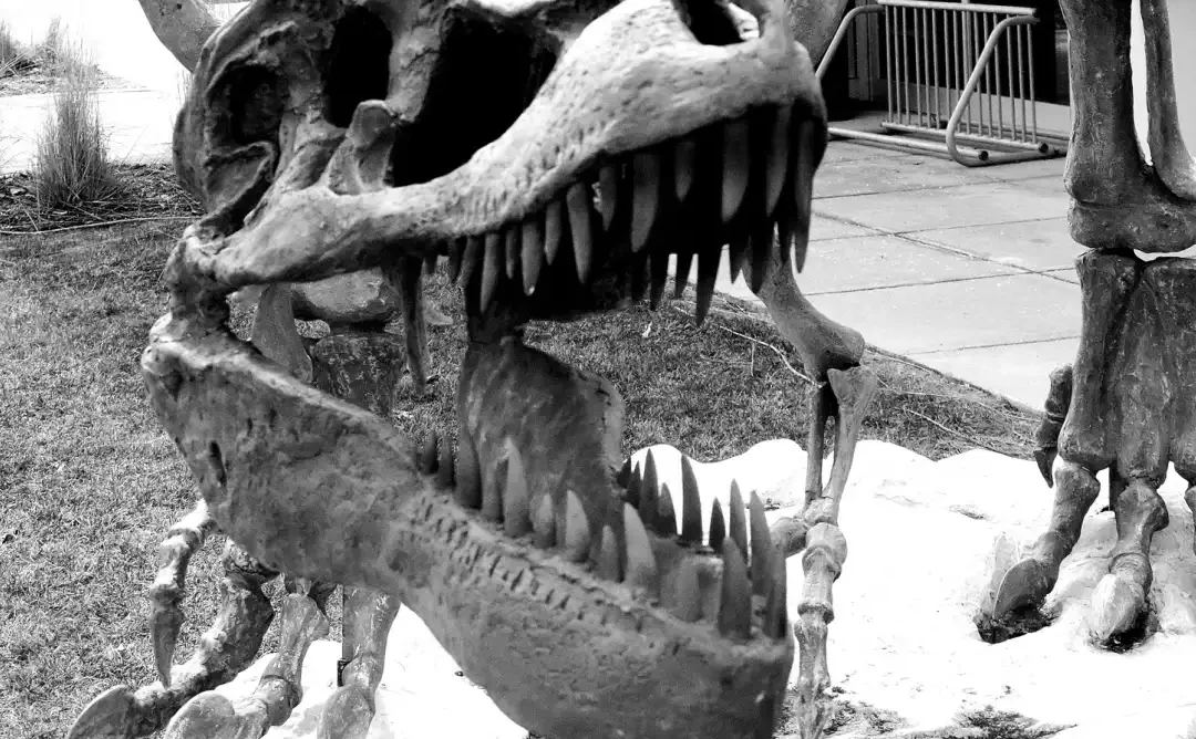 The East Village Magazine – April 2026