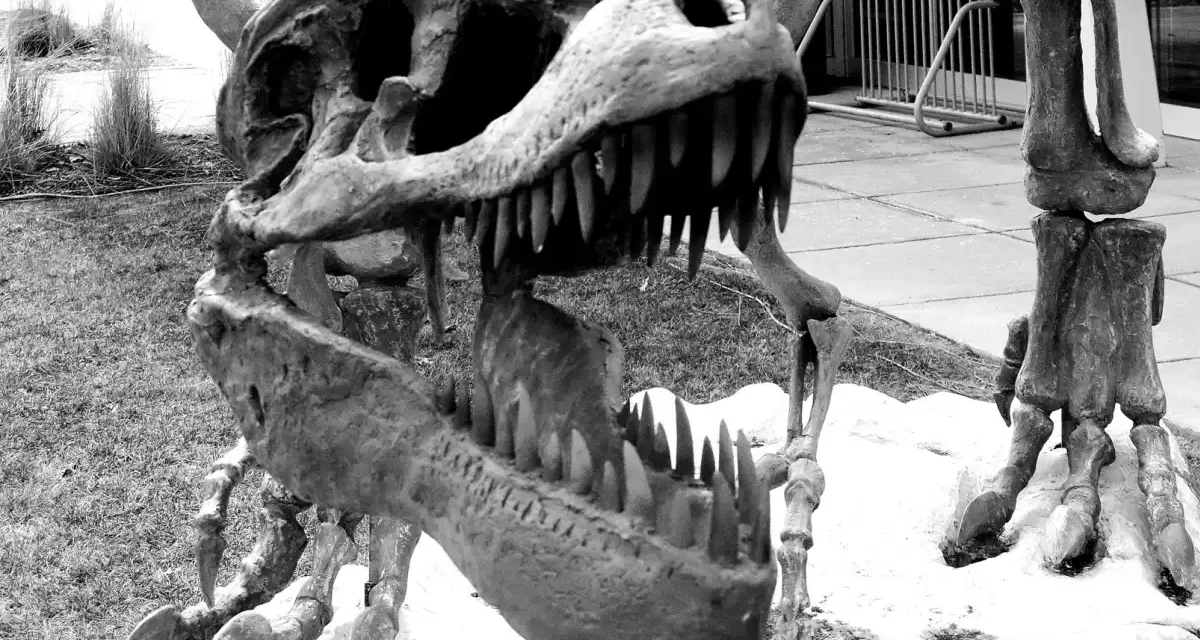 The East Village Magazine – April 2026