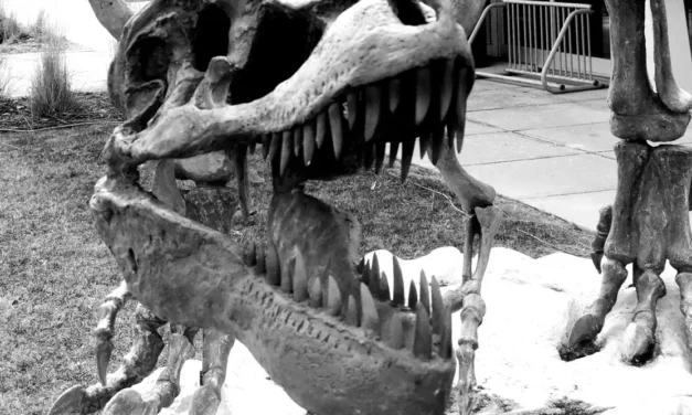 The East Village Magazine – April 2026