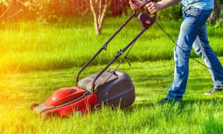 Neighborhood Engagement Hub to welcome Flint residents to Community Toolshed season opening, open house