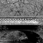 The East Village Magazine – May 2026