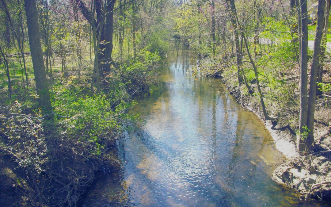 Mott Foundation invites Flint residents to share priorities for city park improvements