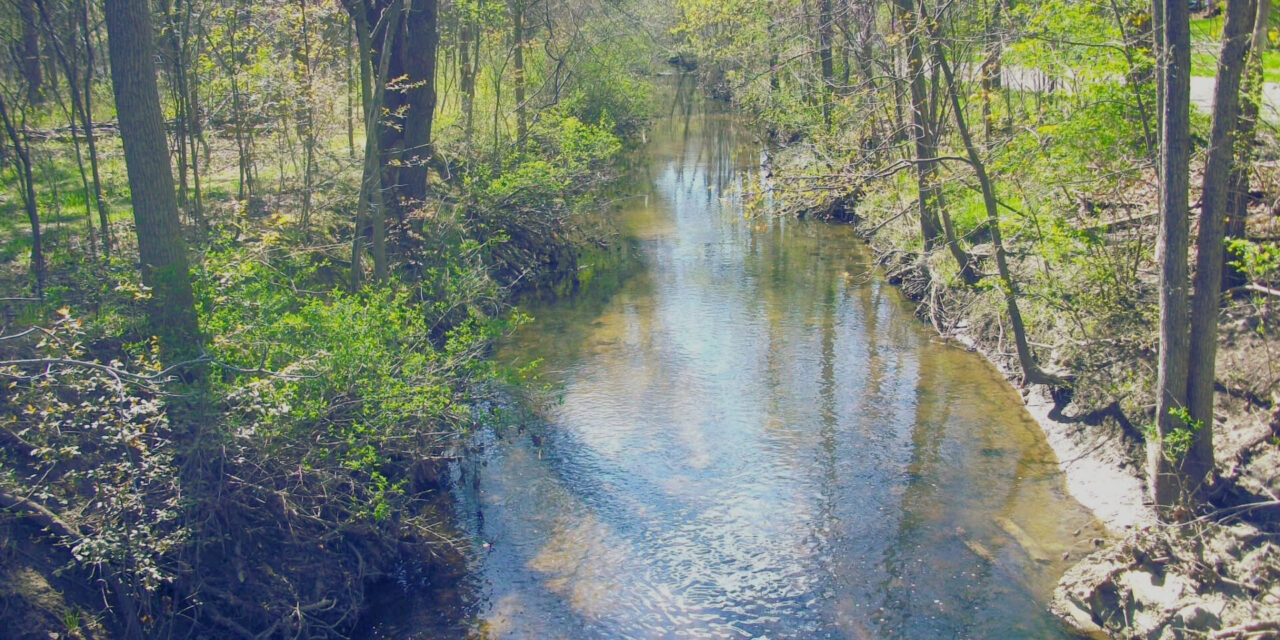 Mott Foundation invites Flint residents to share priorities for city park improvements