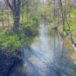 Mott Foundation invites Flint residents to share priorities for city park improvements