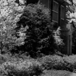 The East Village Magazine – June 2026